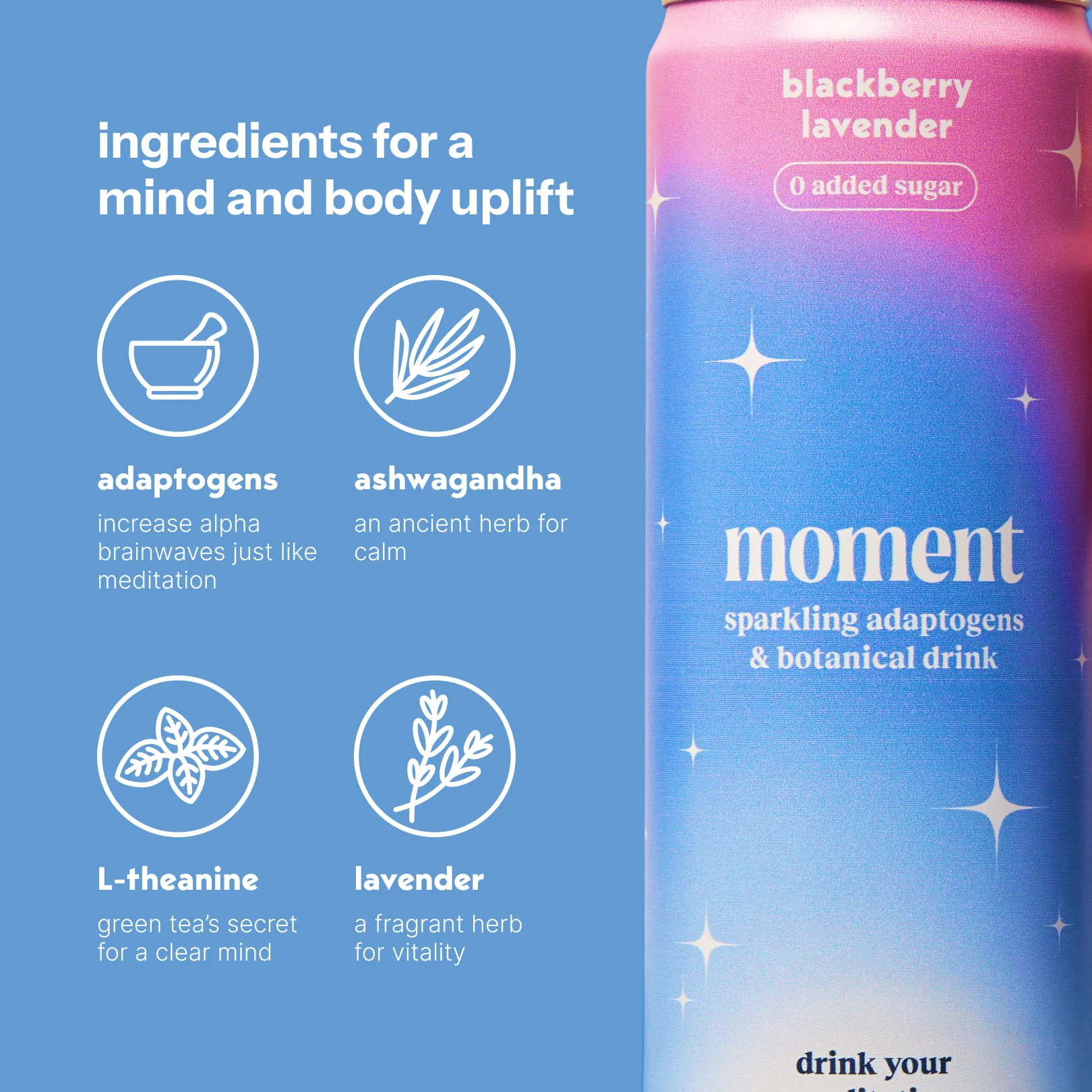 blackberry lavender (botanical soda | 12 pack) - Image 4