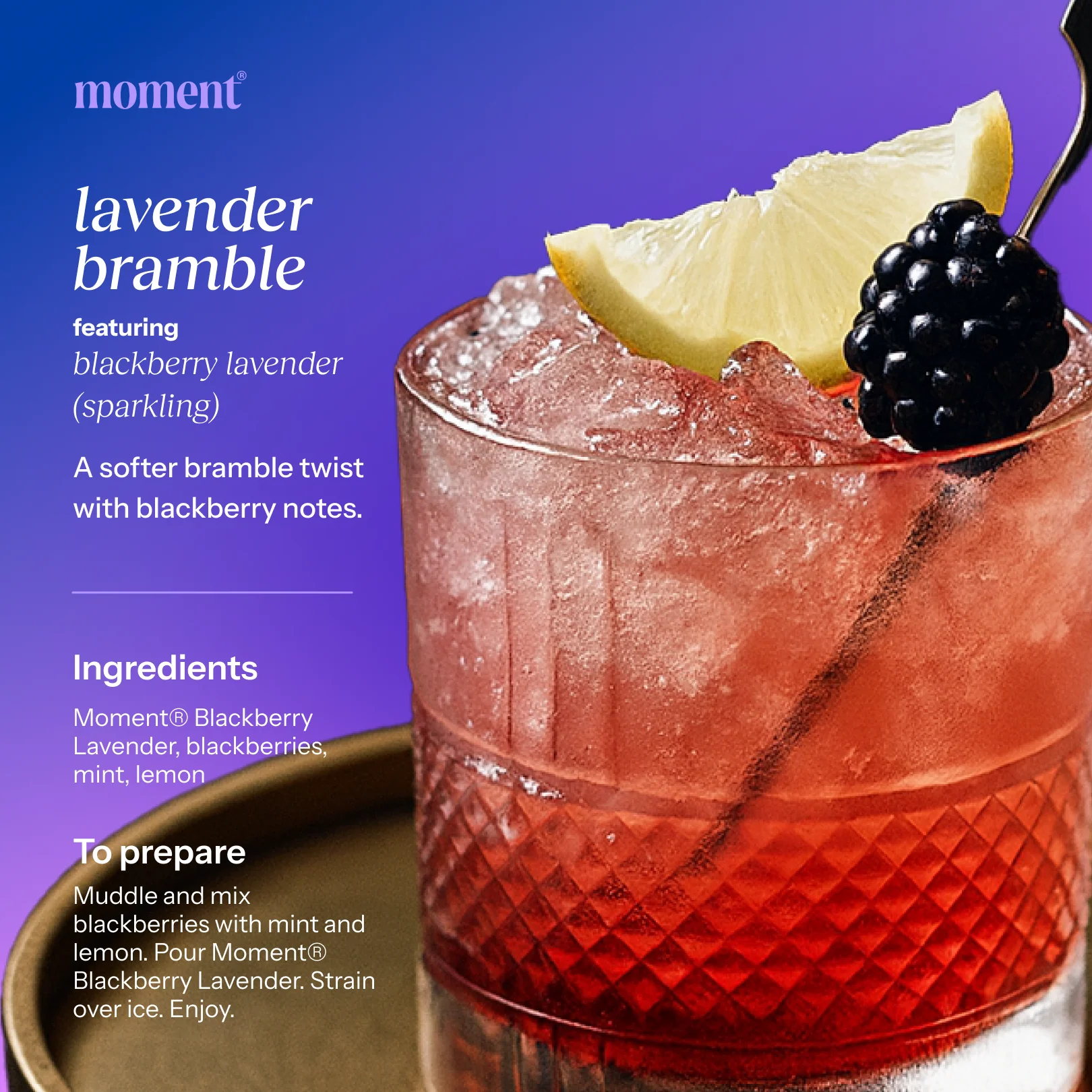 blackberry lavender (botanical soda | 12 pack) - Image 7