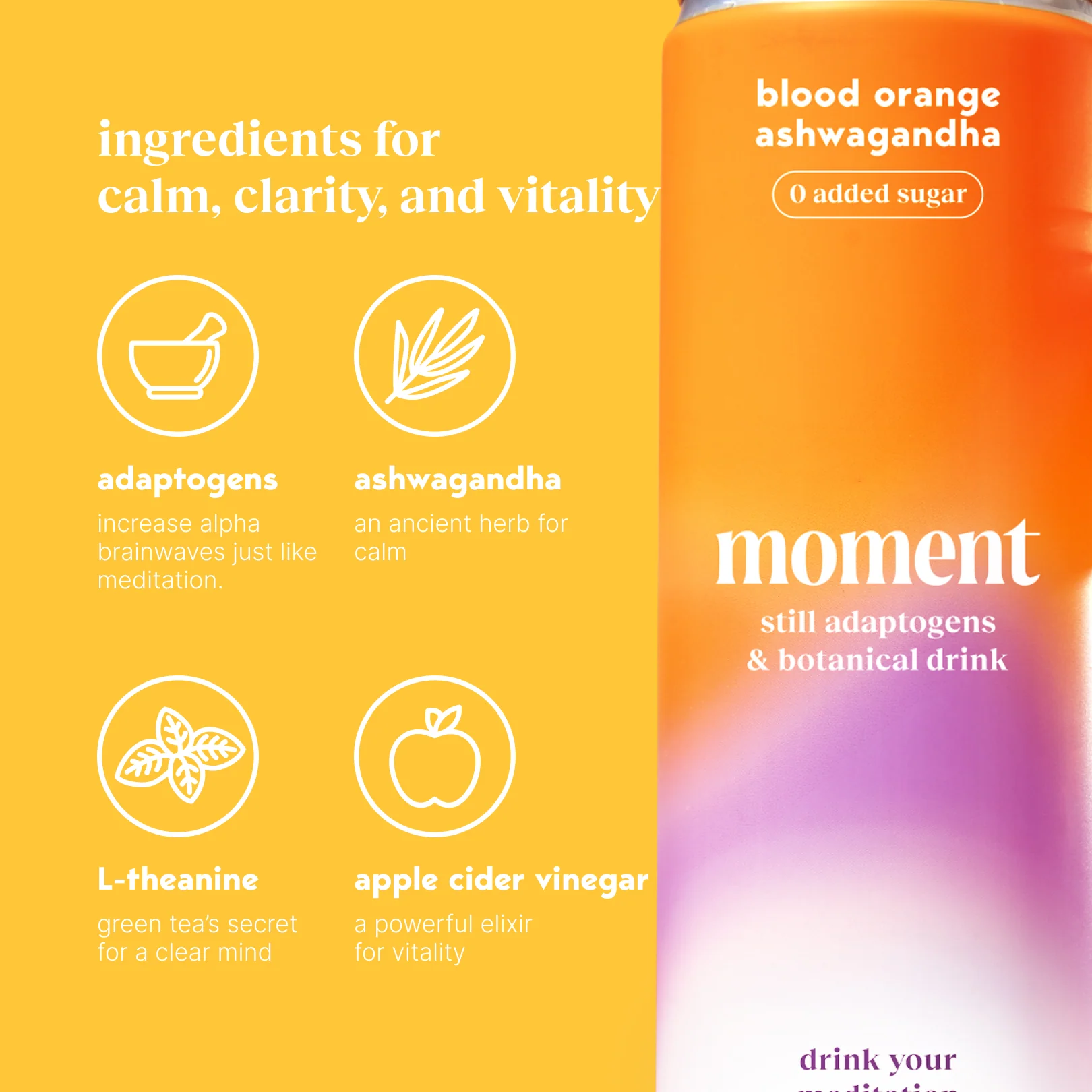 blood orange ashwagandha (botanical tea | 12 pack) - Image 5