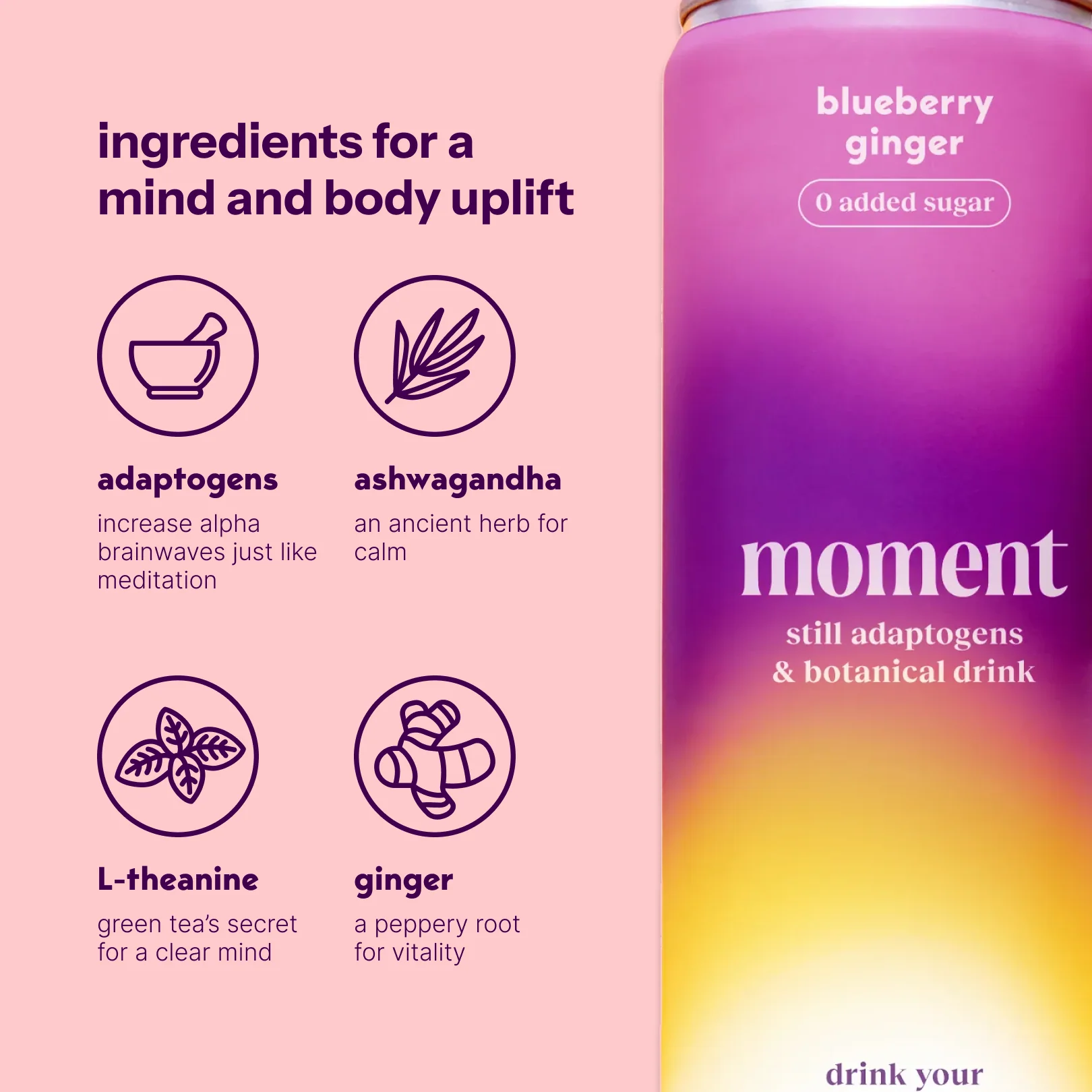 blueberry ginger (botanical tea | 12 pack) - Image 4