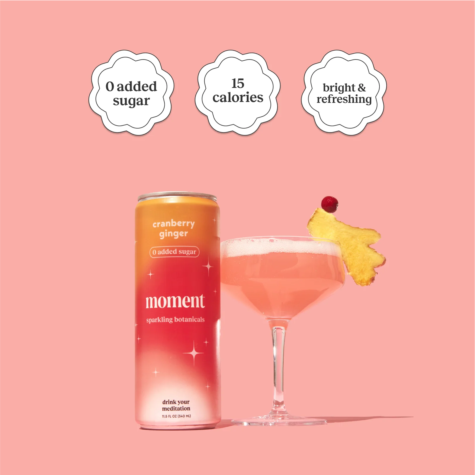 cranberry ginger (sparkling mocktail | 12 pack) - Image 3