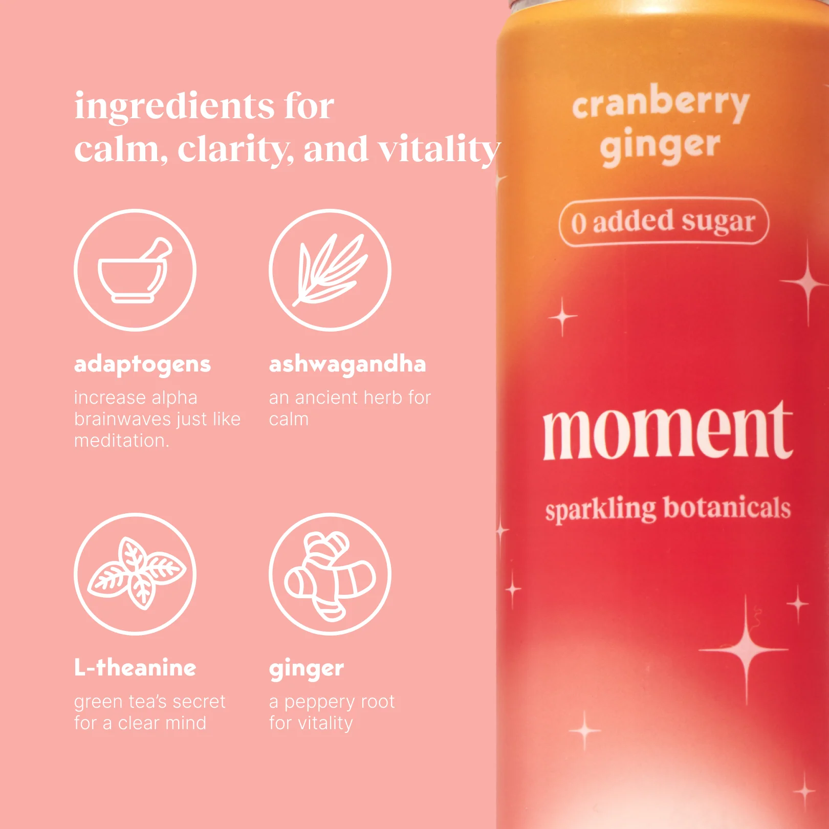 cranberry ginger (sparkling mocktail | 12 pack) - Image 5