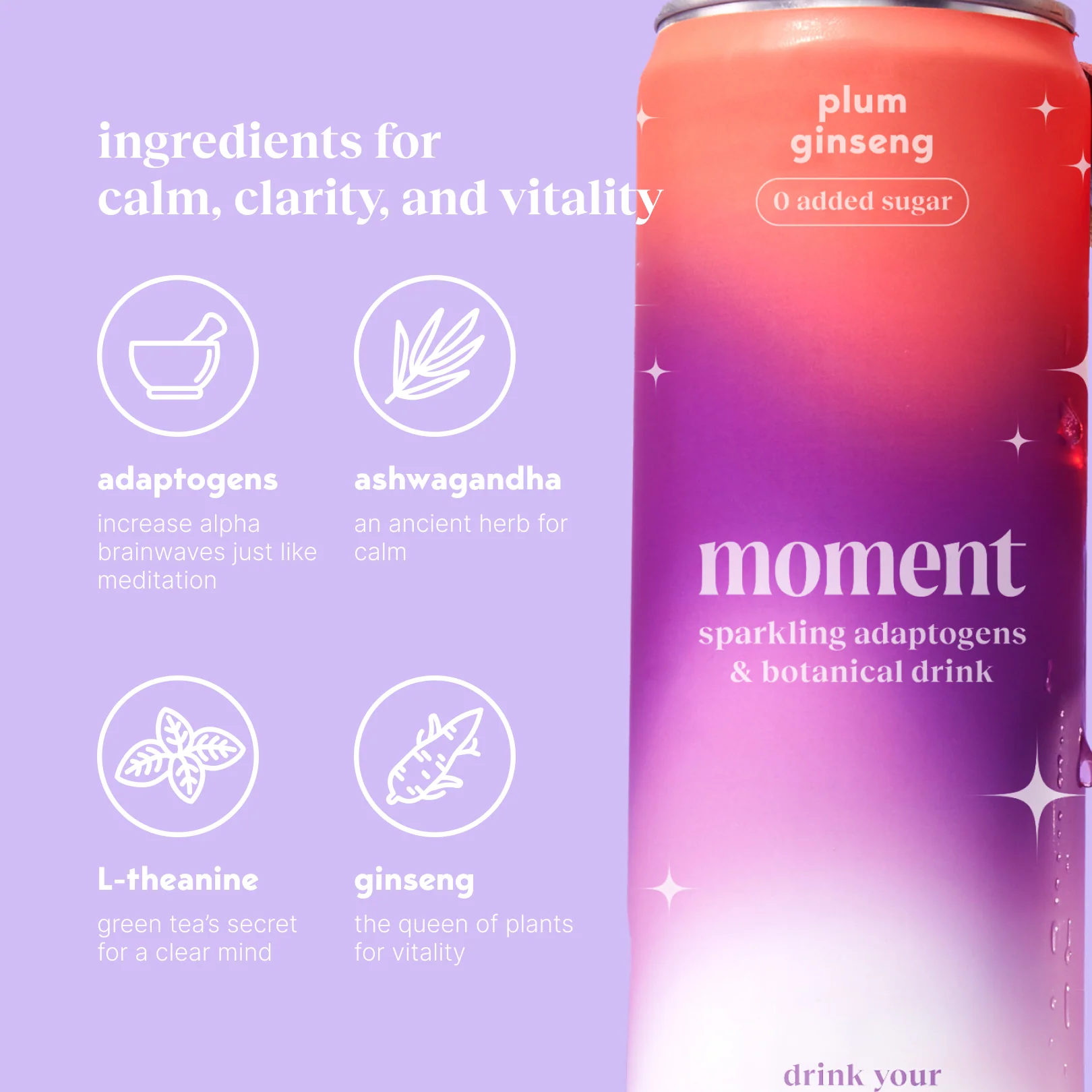 plum spritz (sparkling mocktail | 12 pack) - Image 4