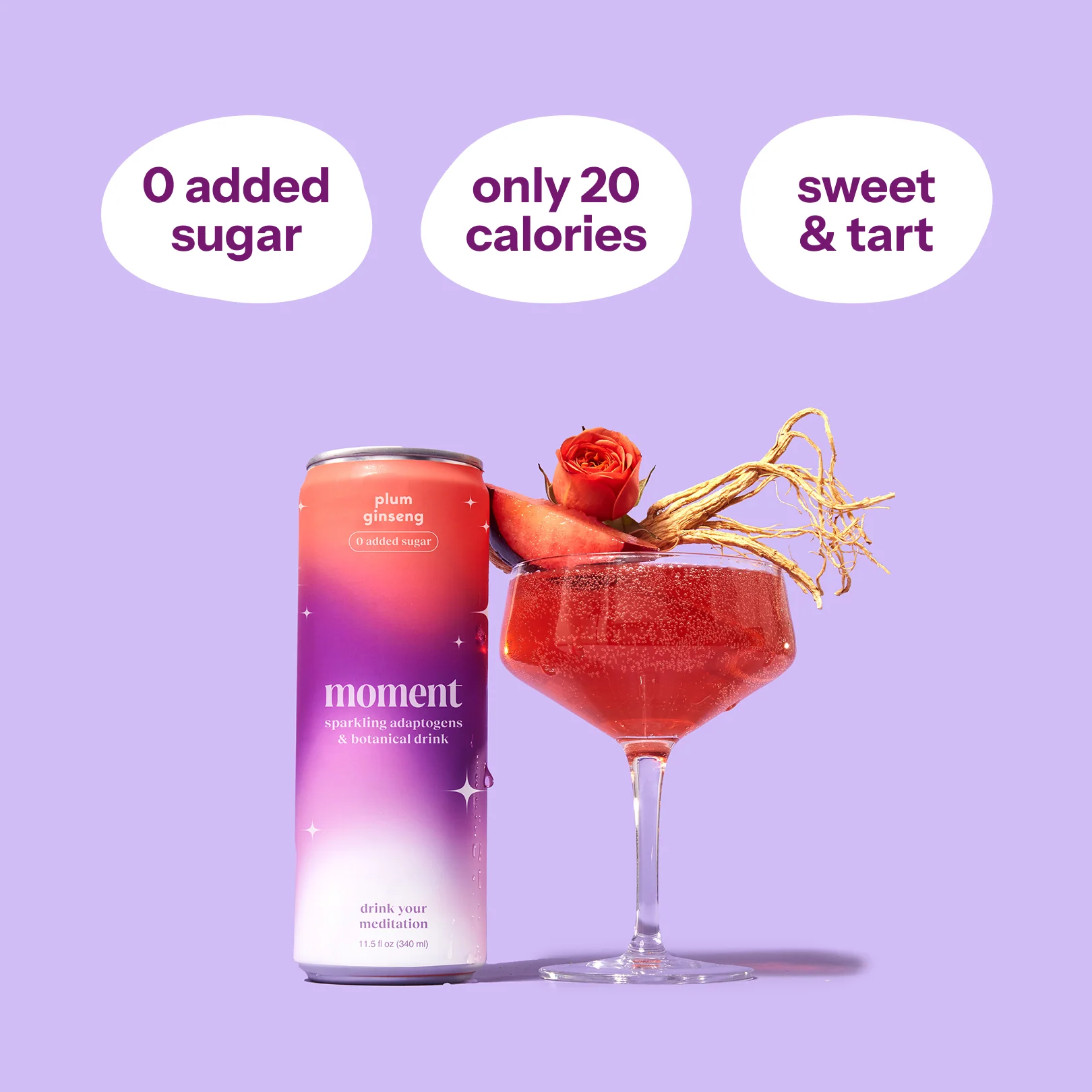 plum spritz (sparkling mocktail | 12 pack) - Image 6