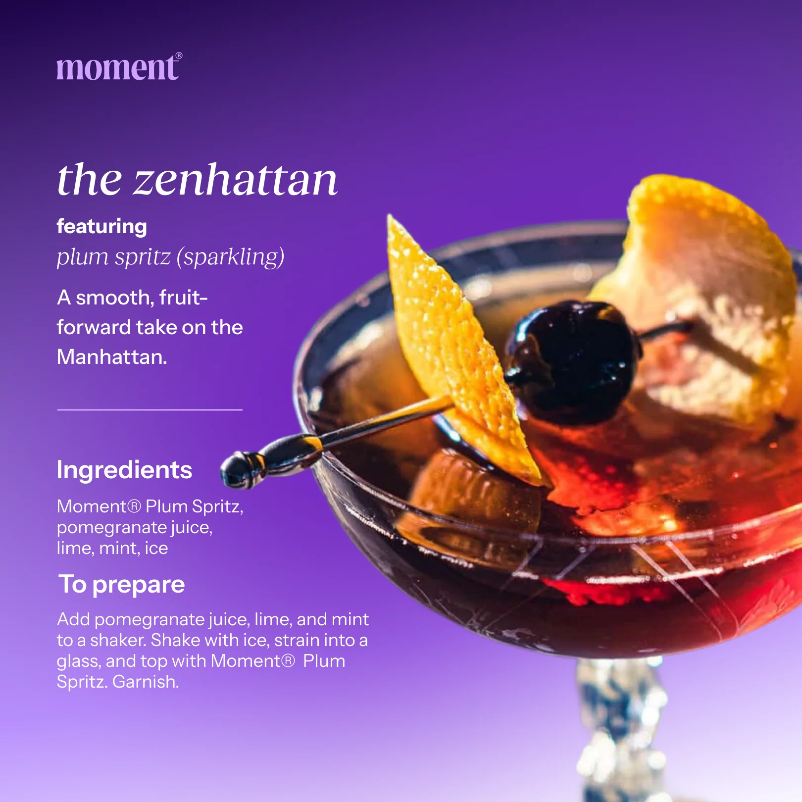 plum spritz (sparkling mocktail | 12 pack) - Image 7