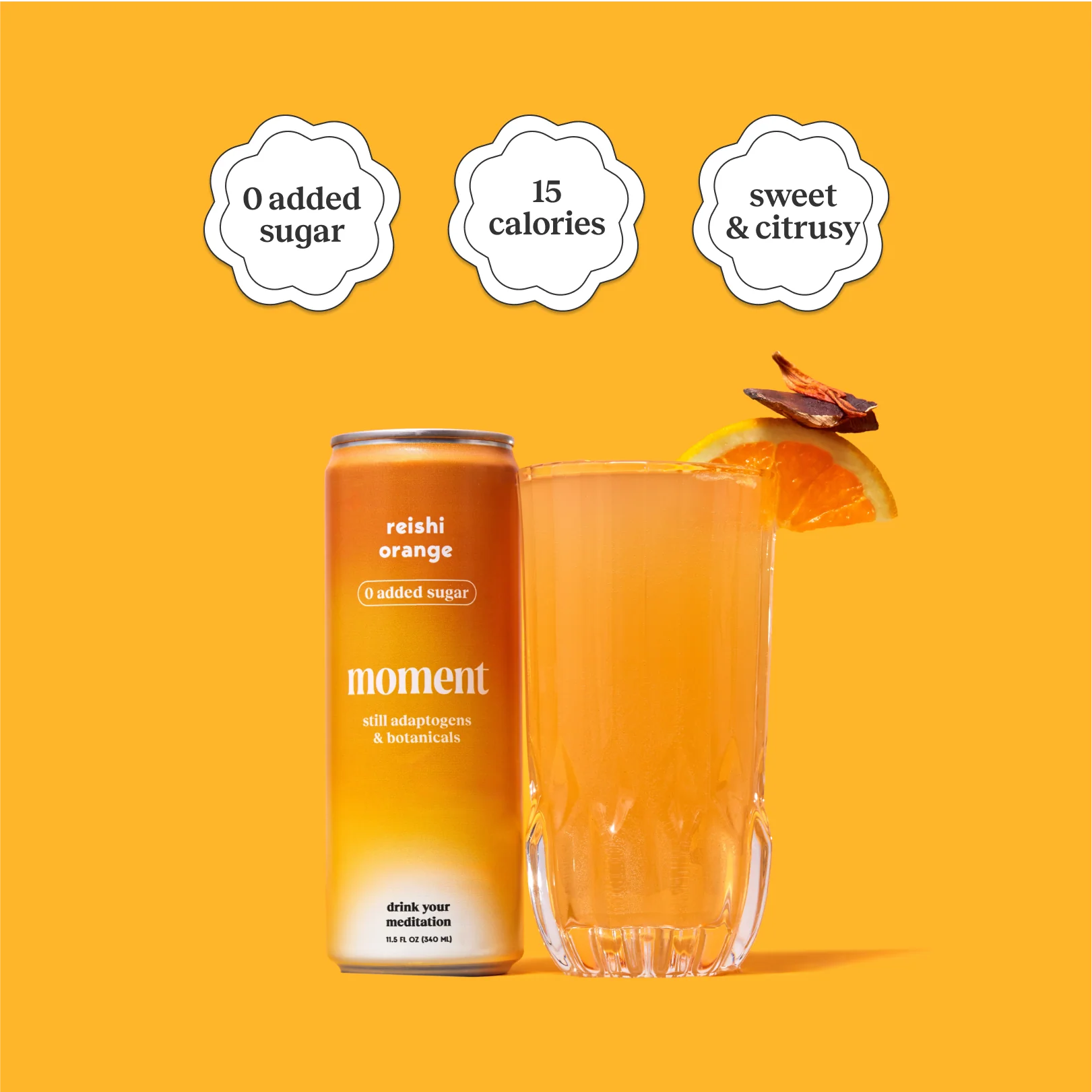 reishi orange (botanical tea | 12 pack) - Image 3