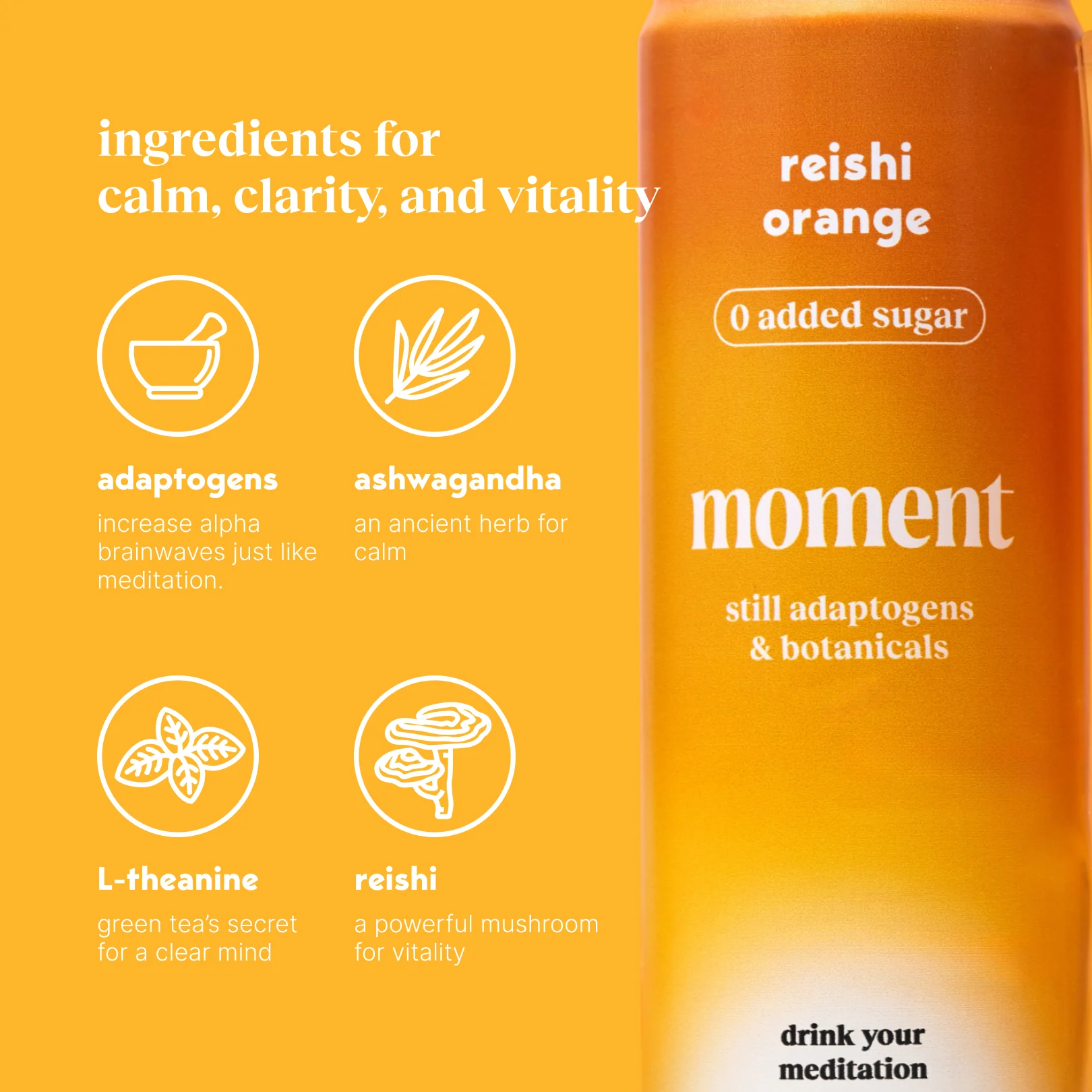 reishi orange (botanical tea | 12 pack) - Image 5